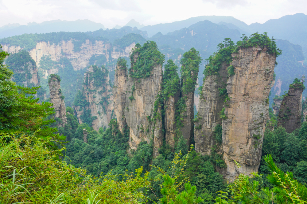 Zhangjiajie National Forest Park (Official GANP Park Page)